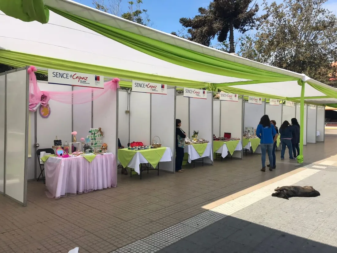 Carpa y gráfica de stand de VGA Eventos